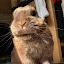author photo