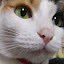 author photo