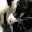 @ねこくろ-u9r