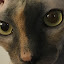 author photo