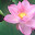 @コォ-t9p