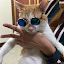 author photo