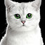 author photo