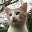 @anithat.p5625