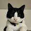 author photo