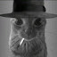 author photo