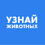 Узнай Животных