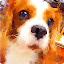 author photo