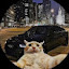 author photo