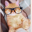 author photo