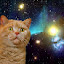 author photo
