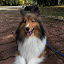 author photo
