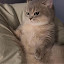 author photo