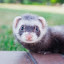 author photo