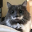 author photo