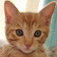 author photo