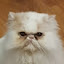 author photo