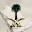 @SaudiArabia-m2p
