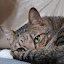 author photo