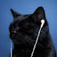 author photo
