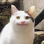 author photo