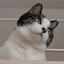 author photo