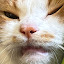 author photo