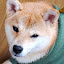 author photo