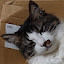 author photo