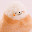 @お-いぬ