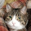 author photo
