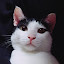 author photo