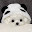 @じぇにこv._.v