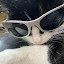 author photo