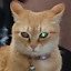 author photo
