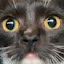 author photo