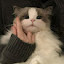 author photo