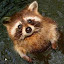 author photo