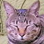 author photo