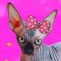 BARBIE Sphynx Сфинкс Cat