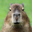 author photo