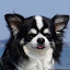 author photo