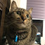 author photo