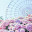 @毒りんご-w7m