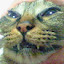 author photo