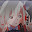 @蓮-d6b