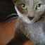 author photo