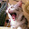 @locksmith2005