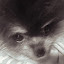 author photo
