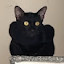 author photo